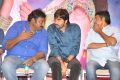 Pandaga Chesko Movie Success Meet Stills