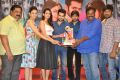 Pandaga Chesko Movie Success Meet Stills