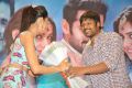 Pandaga Chesko Movie Success Meet Stills