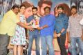 Pandaga Chesko Movie Success Meet Stills