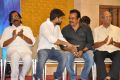 Pandaga Chesko Movie Success Meet Stills