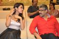 Pandaga Chesko Movie Success Meet Stills