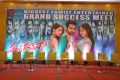 Pandaga Chesko Movie Success Meet Stills