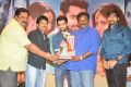 Pandaga Chesko Movie Success Meet Stills