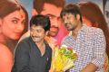 Pandaga Chesko Movie Success Meet Stills