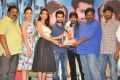 Pandaga Chesko Movie Success Meet Stills