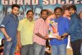 Pandaga Chesko Movie Success Meet Stills