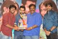 Pandaga Chesko Movie Success Meet Stills