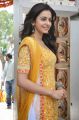 Actress Rakul Preet Singh in Pandaga Chesko Telugu Movie Stills