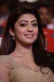 Pranitha Subhash @ Pandavulu Pandavulu Tummeda Audio Launch Stills