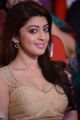 Actress Pranitha @ Pandavulu Pandavulu Tummeda Audio Launch Stills