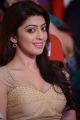 Actress Pranitha @ Pandavulu Pandavulu Tummeda Audio Launch Stills