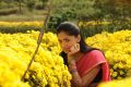 Actress Sunaina in Pandi Oli Perukki Nilayam Movie Stills