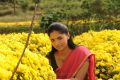 Actress Sunaina in Pandi Oli Perukki Nilayam Movie Stills