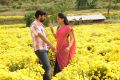 Sabareesh, Sunaina in Pandi Oli Perukki Nilayam Movie Stills