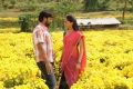 Sabareesh, Sunaina in Pandi Oli Perukki Nilayam Movie Stills