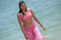 Actress Sunaina in Pandi Oli Perukki Nilayam Tamil Movie Stills