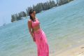 Actress Sunaina in Pandi Oli Perukki Nilayam Movie Stills