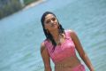 Actress Sunaina in Pandi Oli Perukki Nilayam Movie Stills