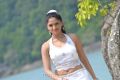 Actress Sunaina in Pandi Oli Perukki Nilayam Tamil Movie Stills