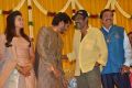 Actor Goundamani @ Pandu Son Pintu Wedding Reception Stills