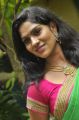 Actress Swasika @ Panduvam Movie Team Interview Stills