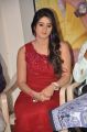 Actress Harshika Poonacha @ Pani Puri Movie Press Meet Stills