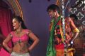 Prachi Sinha, Dhanraj in Panileni Puliraju Movie Photos