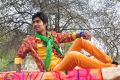 Actor Dhanraj in Panileni Puliraju Movie Photos