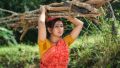 Actress Varsha Ashwathi in Panivizhum Malarvanam Movie Stills