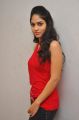 Actress Sanyathara @ Panivizhum Malarvanam Movie Team Interview Stills