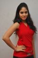 Actress Sanyathara @ Panivizhum Malarvanam Movie Team Interview Stills