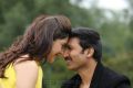 Mehreen Pirzada, Gopichand in Pantham Movie Stills HD