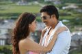 Mehreen Pirzada, Gopichand in Pantham Movie Stills HD