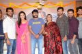 Paperboy Movie Success Meet Stills