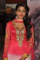 Actress Dhanshika in Paradesi Movie Press Meet Stills
