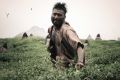 Actor Atharva in Paradesi Telugu Movie Images