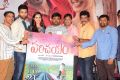Parichayam Movie Audio Launch Photos