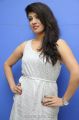 Telugu Heroine Parnidhi Photos