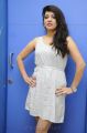 Telugu Actress Parnidhi Latest Stills