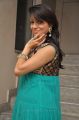Telugu Actress Parinidhi in Sleeveless Dress Photos