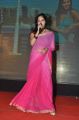 Singer Sunita at Park Movie Audio Release Function Stills