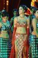 Parvathi Melton Hot Pics in Dookudu