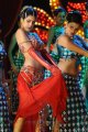 Dookudu Item Song Girl Parvathi Melton Hot Images