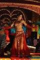 Parvathi Melton Hot Song in Dookudu