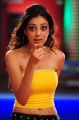 Actress Parvathi Melton in Yellow Dress Hot Pics