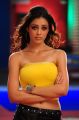 Parvathi Melton Hot Pics in Yellow Dress @ Srimannarayana