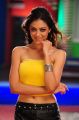 Parvati Melton Hot Pics in Yellow Dress @ Srimannarayana