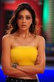 Srimannarayana Parvathi Melton Hot Pics in Yellow Dress