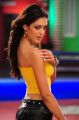 Srimannarayana Parvathi Melton Hot Pics in Yellow Dress